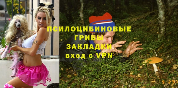 винт Армянск
