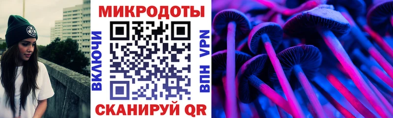 Купить  Вуктыл  Галлюциногенные грибы Psilocybe 